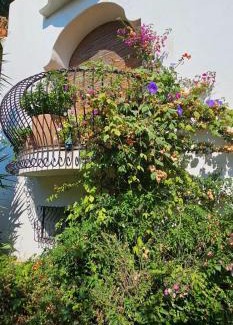 Magazzeno House | L'Eucalipto