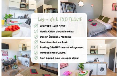 Anzin Apartment | L'Exotique - Parking I Netflix I Gare I WIFI TRÈS HAUT DÉBIT - Calme & Cosy