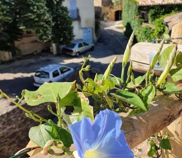 Lourmarin House | L'Exquishette de Lourmarin, un nid sur les toits.