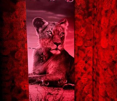 Castrovillari Hotel | L'H LION's RED SUITE