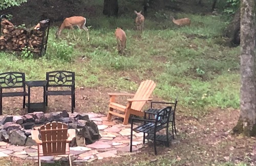 Jones Mills House | L@K Resort Living on 2 Wooded Acres. Amazing! Outdoor Fun! Hot Springs