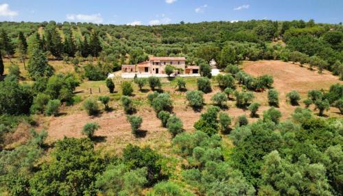 Borghetto House | L'oasi delle volpi