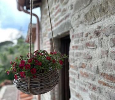 Borghetto House | L'oasi delle volpi