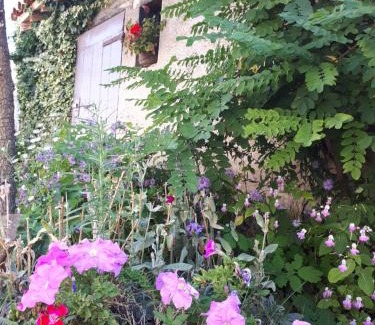Saint-Galmier Bed & Breakfast | L'Orme-Vial