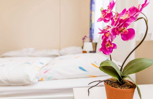 Leverkusen Apartment | L02 friendly holiday apartment in Leverkusen Manfort with washing machine and free W-LAN
