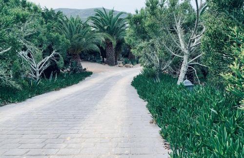 Gafares Hotel | La Almendra y El Gitano