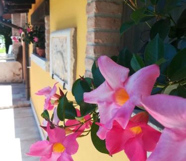 Ca' Savio Apartment | LA BRIGATA APARTMENTS Yellow House