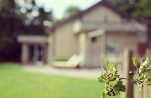 Bohon House | La Brindille
