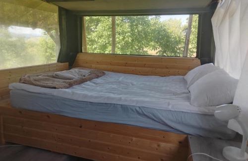 Rosia Other | La Busuri Camp