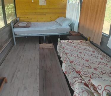 Rosia Other | La Busuri Camp