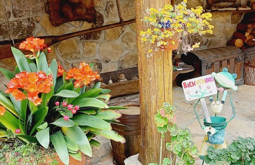 Casavieja House | La Cabra rural house