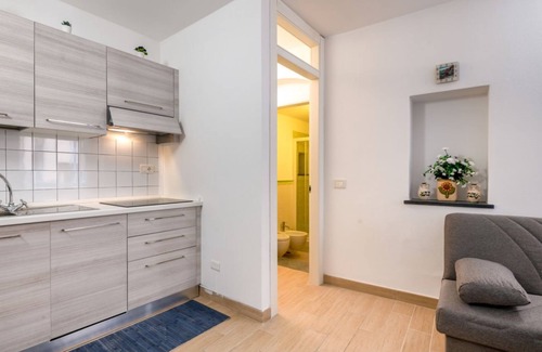 Riomaggiore Apartment | La Cantina dei Nonni - Riomaggiore Functional Flat