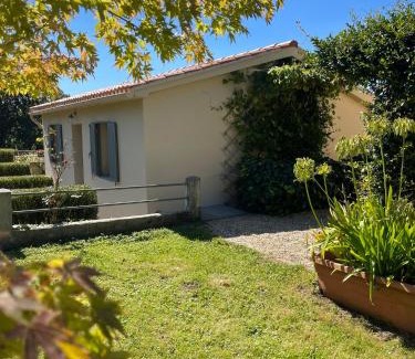 Oza-Cesuras House | La Casa da Pipa