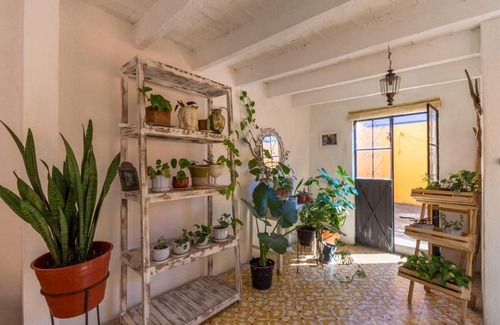 Zona Centro Apartment | La Casa de Las Golondrinas, La Mejor Ubicación