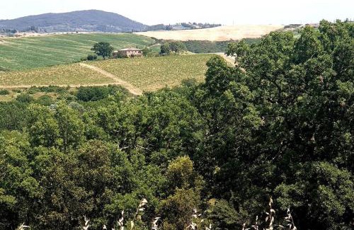 Bollano House | La casa dei nonni tra Crete Senesi e Val D'Orcia