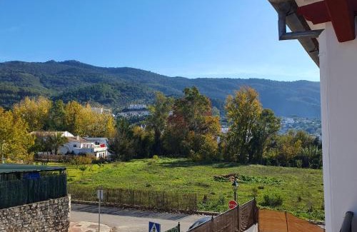 El Bosque House | La Casa del Bosque