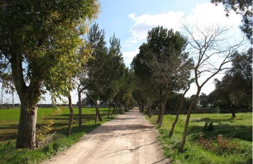 Oria House | La Casa Del Massaro