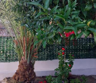 Palinuro Bed & Breakfast | La casa di Donato