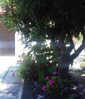 Palinuro Bed & Breakfast | La casa di Donato