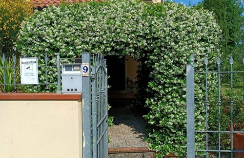 Lazzeretto Apartment | La Casa di Fiorella È Un'accogliente Bilocale di 60 mq Nella Campagna Toscana