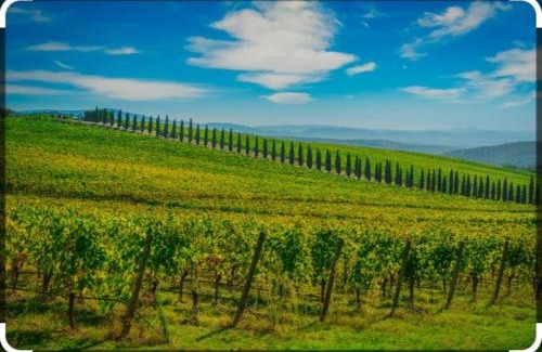 Castelnuovo Berardenga Apartment | La casa di Virma