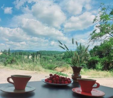 Castelnuovo Berardenga House | La casa di Elvira2