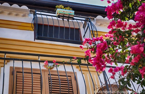 San Nicola Arcella Bed & Breakfast | La Casa di Ivana