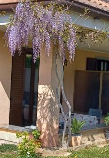 Merone Apartment | La casa di Juliette