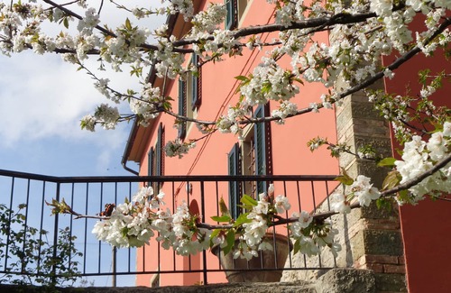 Vinci Villa | La casa di Marcello - panoramic house in the heart of Florence countryside