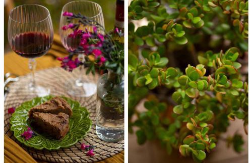 Montiano Apartment | La Casa di Marco, holidays, sea and nature