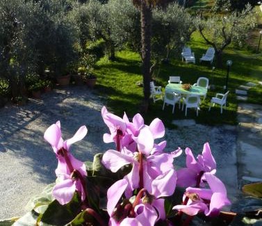 Massarosa Apartment | La casa di Silvia