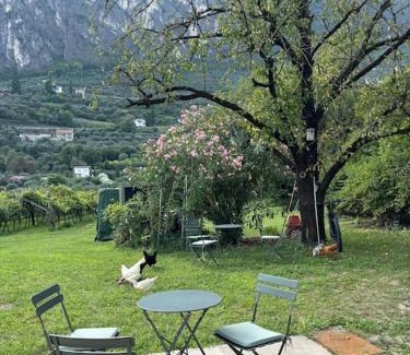 Riva del Garda Apartment | La Casa nella Vigna