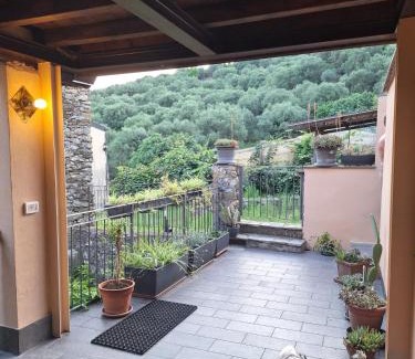Borgo House | la casa tra gli ulivi
