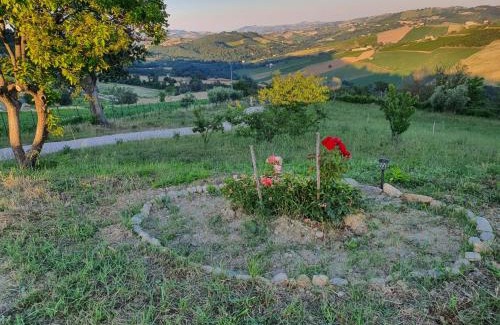 Montedinove Apartment | La Casetta al Sole
