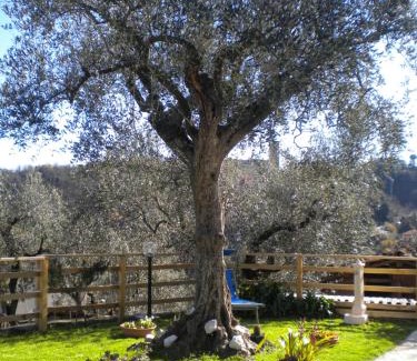Arcola House | la casetta del nonno