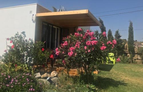El Lentiscal Apartment | La Casita de Laura