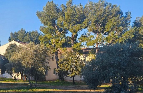 Pelissanne Apartment | La Cayon Au coeur des oliviers en Provence