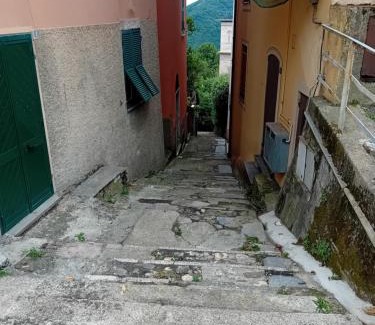 Uscio House | La Ciliegia