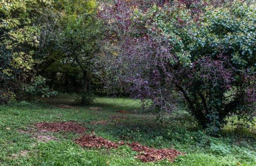 Vernou-sur-Brenne House | La Closerie du Cassereau