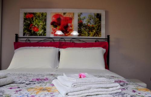 Santarello House | La Collina del Melograno