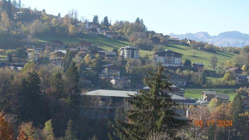 Saint-Gervais-les-Bains Apartment | La Comtesse