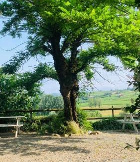 San Marzano Oliveto Bed & Breakfast | La Crusetta