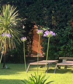 Eyguieres Bed & Breakfast | La demeure