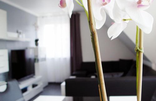 Lotte Apartment | La Domus Premium