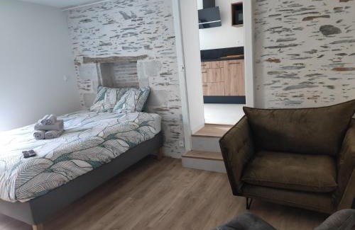 Saint-Serge Apartment | La Douce Angevine - La Perruche - Proche centre