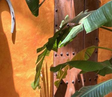 Sotogrande Bed & Breakfast | La Dulcinea