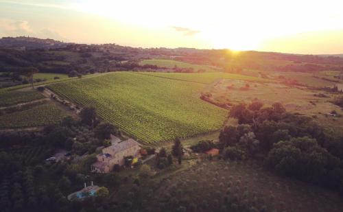 Montepulciano House | La Falconara