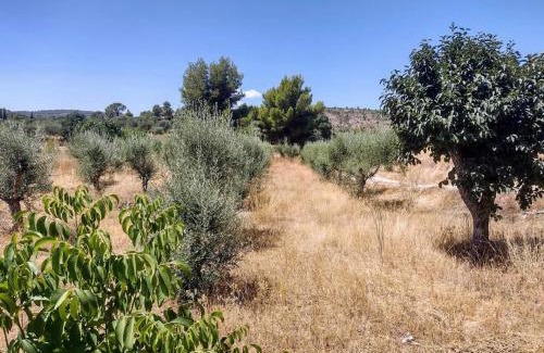 Al-Mafraq House | LA Farm