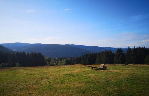 Gerardmer House | La Ferme Du Levant