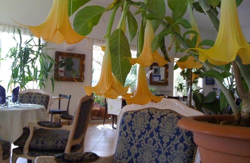 Vidauban Hotel | La Fontaine
